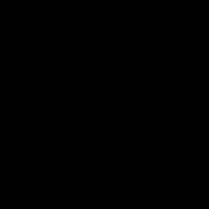 Meet your Posher, Lily